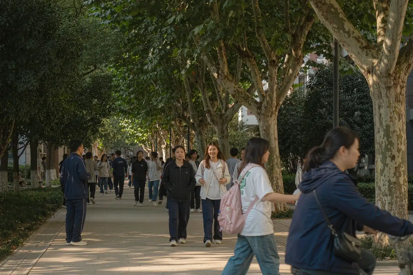 A tree-lined campus path in China with students cycling and walking